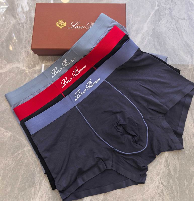 LP boxer 0723